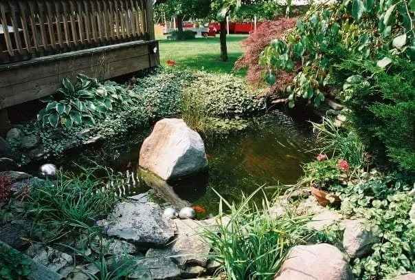 Reliable landscape installation in Rochester, NY by Frisbees Landscaping Ponds & Patios