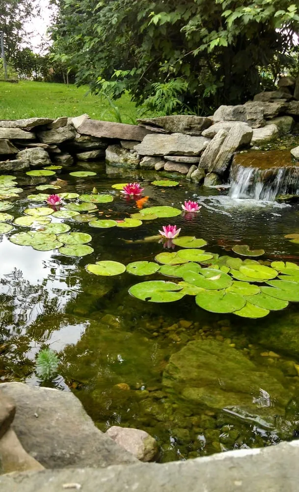 Local yard maintenance for residential properties across Rochester, NY - Frisbees Landscaping Ponds & Patios