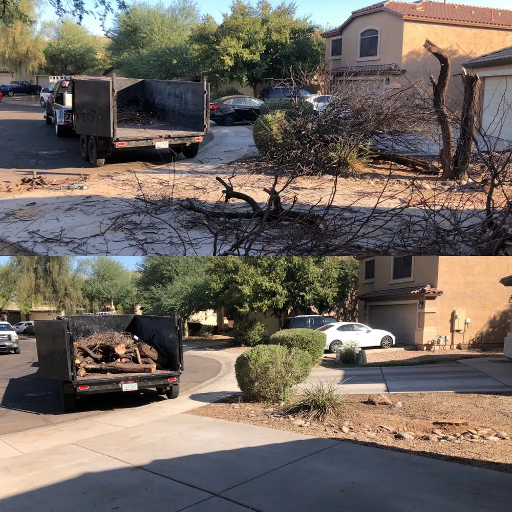 Reliable garden landscaping for year-round maintenance across Queen Creek, AZ - Frisch & Sons