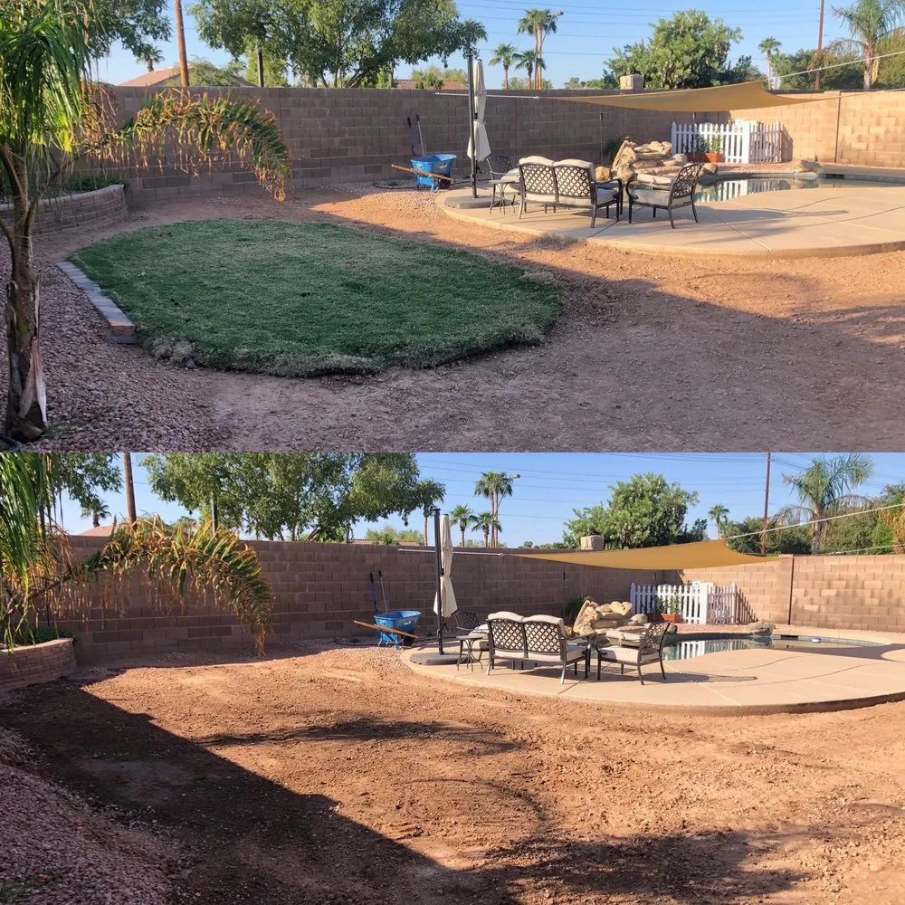 Expert landscape installation in Queen Creek, AZ - Frisch & Sons
