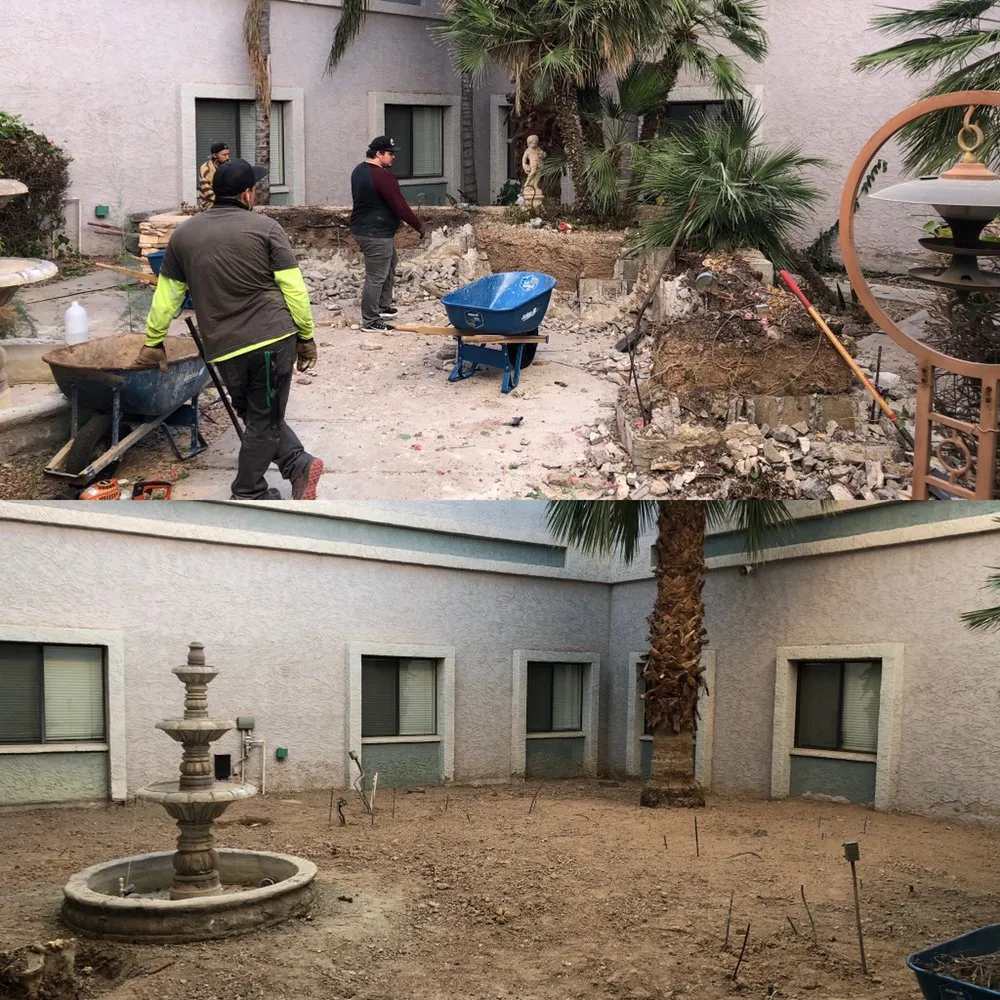 Trusted yard maintenance for residential properties across Queen Creek, AZ - Frisch & Sons