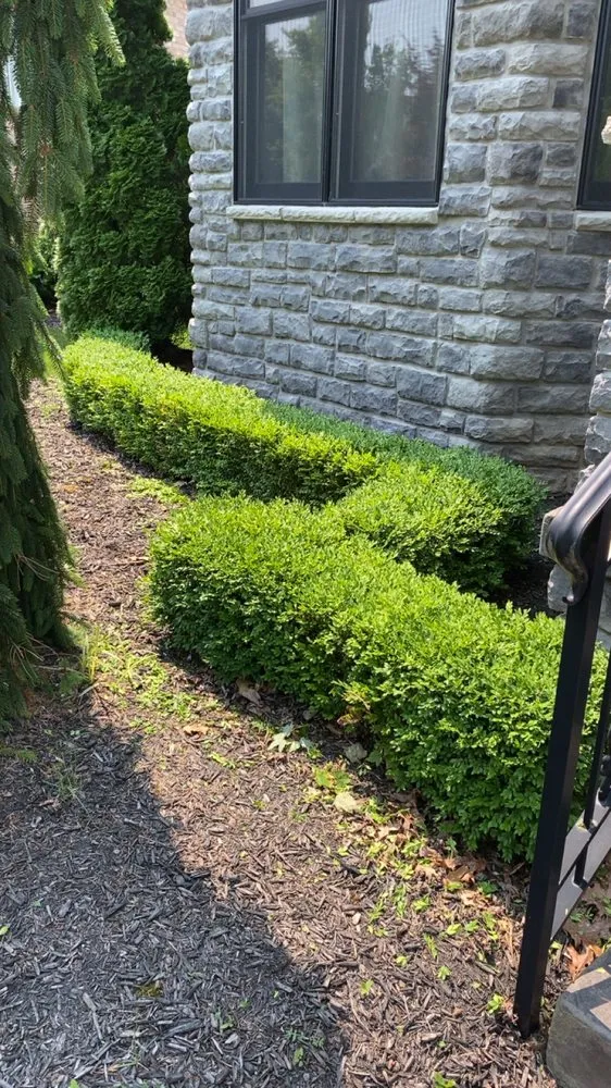 Affordable landscape design for homes across Coraopolis, PA - Frisco's Landscaping