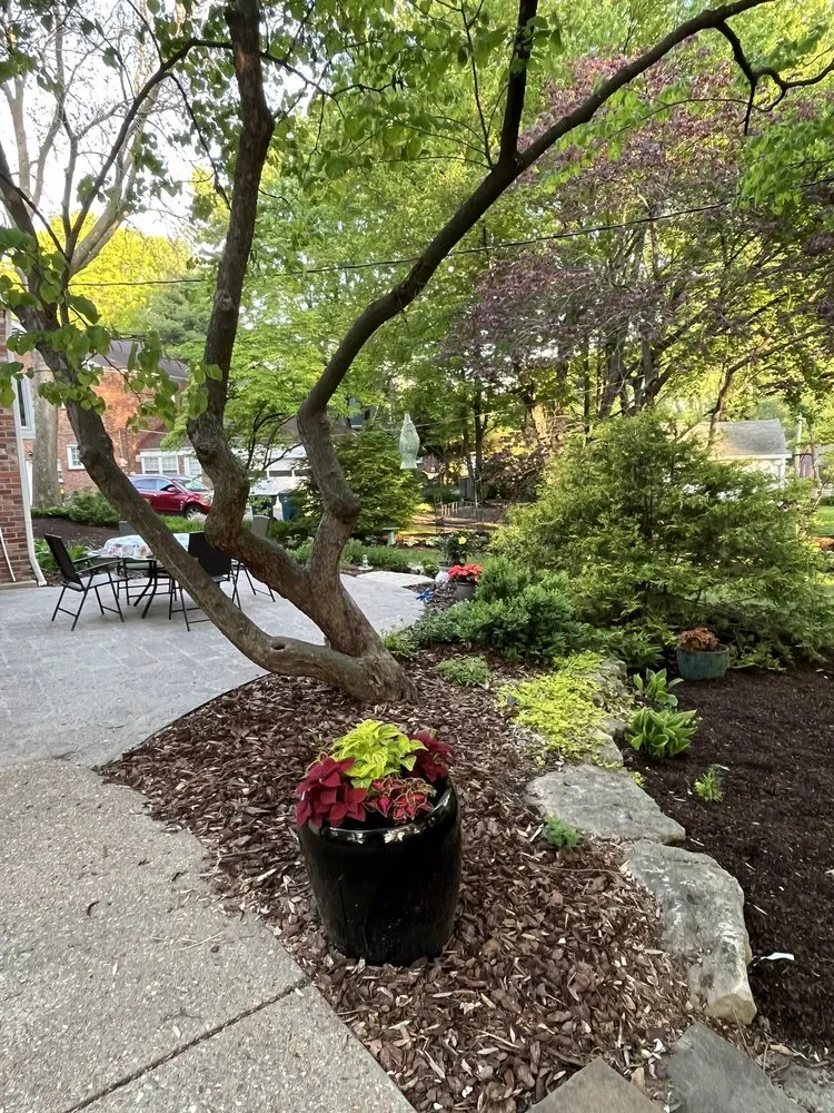 Trusted lawn care service experts serving Defiance, MO - Frisella Nursery