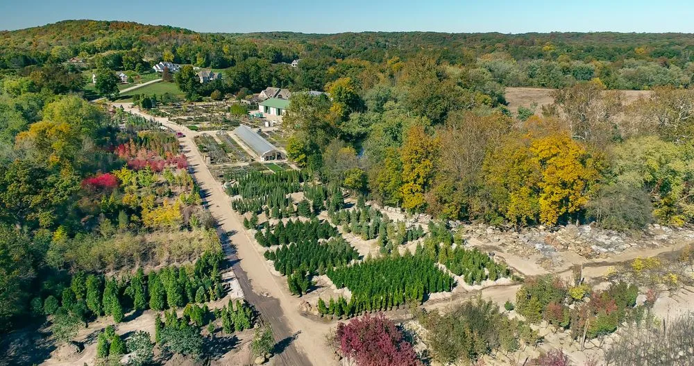 Reliable outdoor landscaping in Defiance, MO by Frisella Nursery