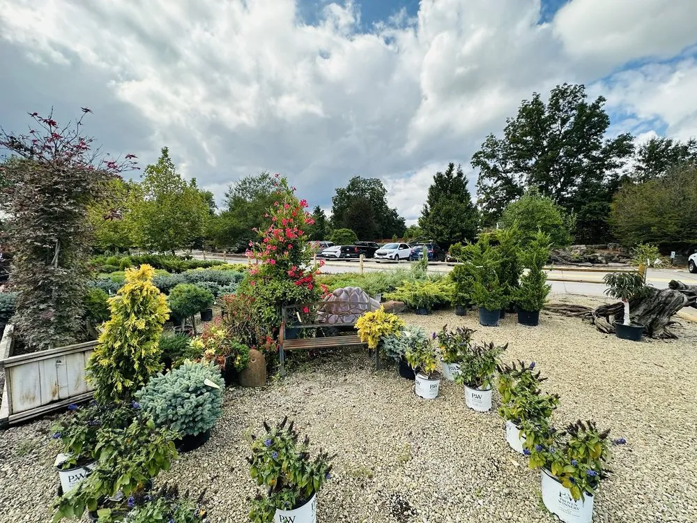 Reliable outdoor landscaping experts serving Defiance, MO - Frisella Nursery