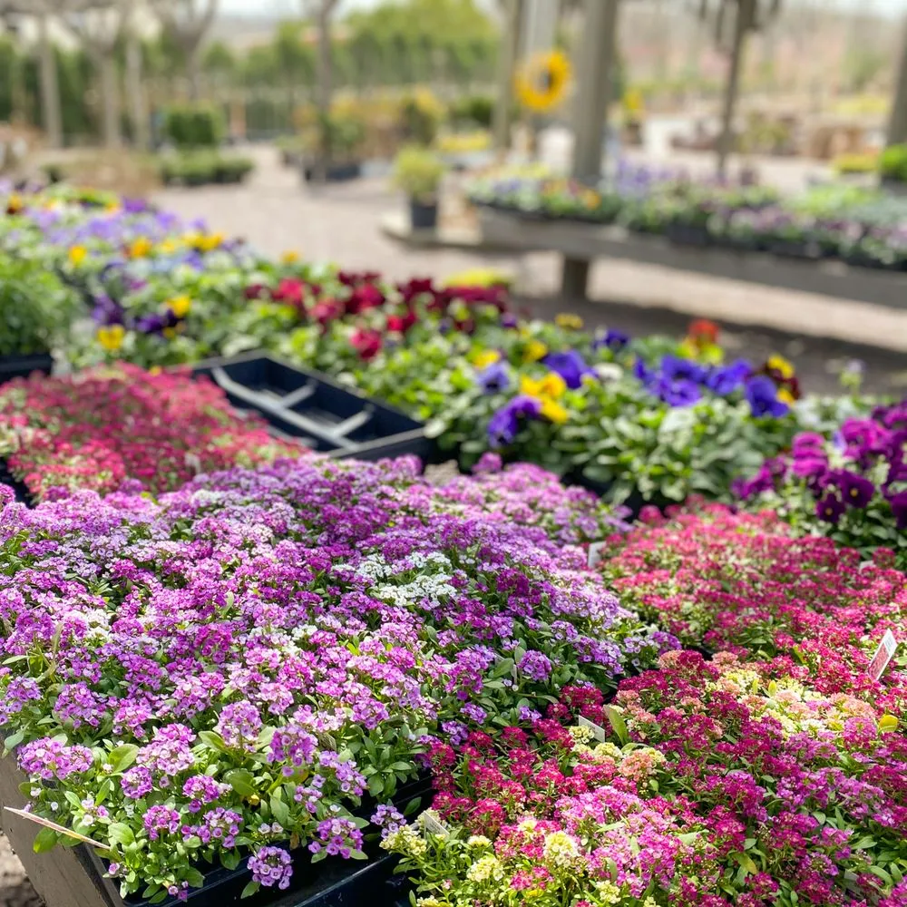 Custom garden landscaping in Defiance, MO by Frisella Nursery