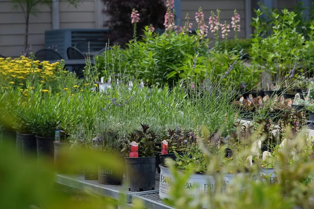 Expert landscaping services near you across Defiance, MO - Frisella Nursery