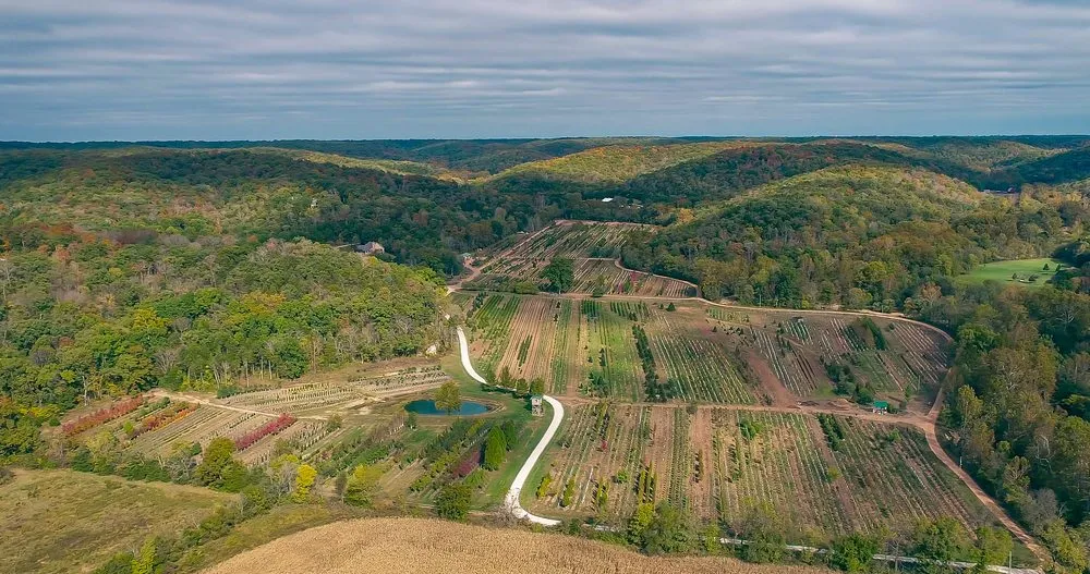 Reliable lawn care service near you in Defiance, MO by Frisella Nursery