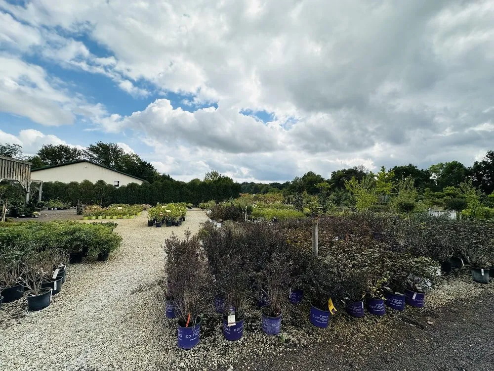 Custom lawn mowing service in Defiance, MO by Frisella Nursery