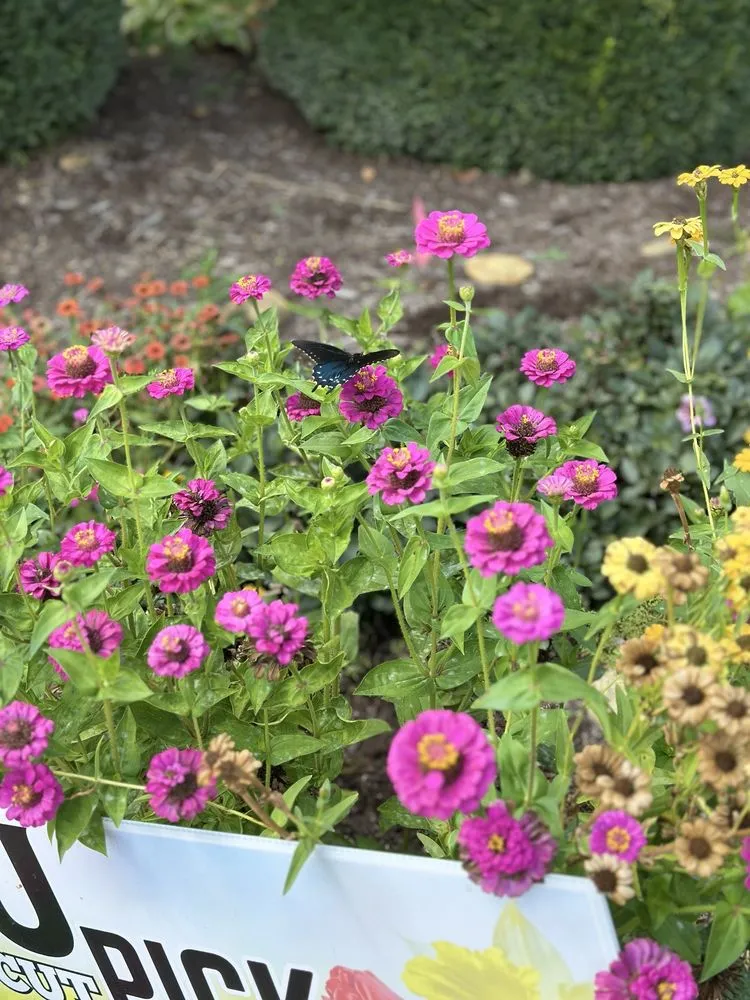 Local lawn care service for residential properties across Defiance, MO - Frisella Nursery