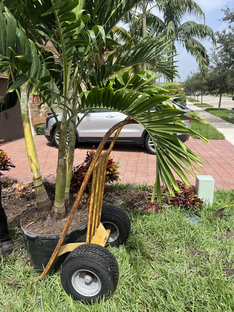 Expert lawn mowing service for residential properties across Boca Raton, FL - Fritz Landscaping