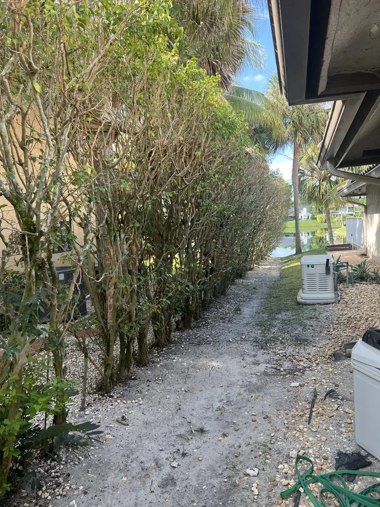 Affordable garden landscaping in Boca Raton, FL by Fritz Landscaping