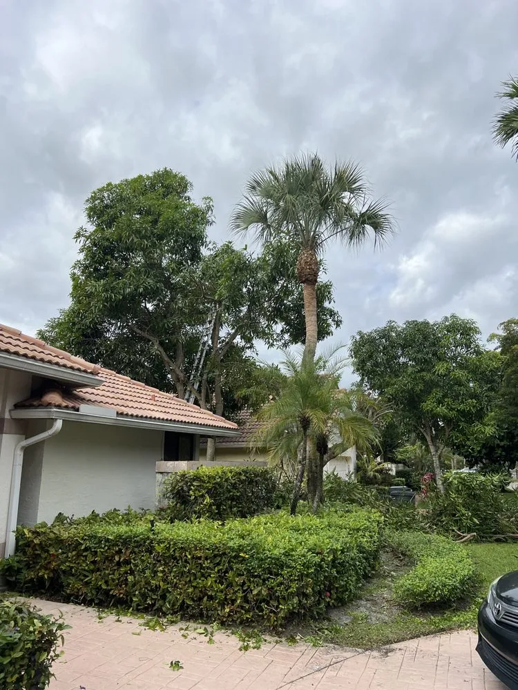 Trusted lawn mowing service experts serving Boca Raton, FL - Fritz Landscaping