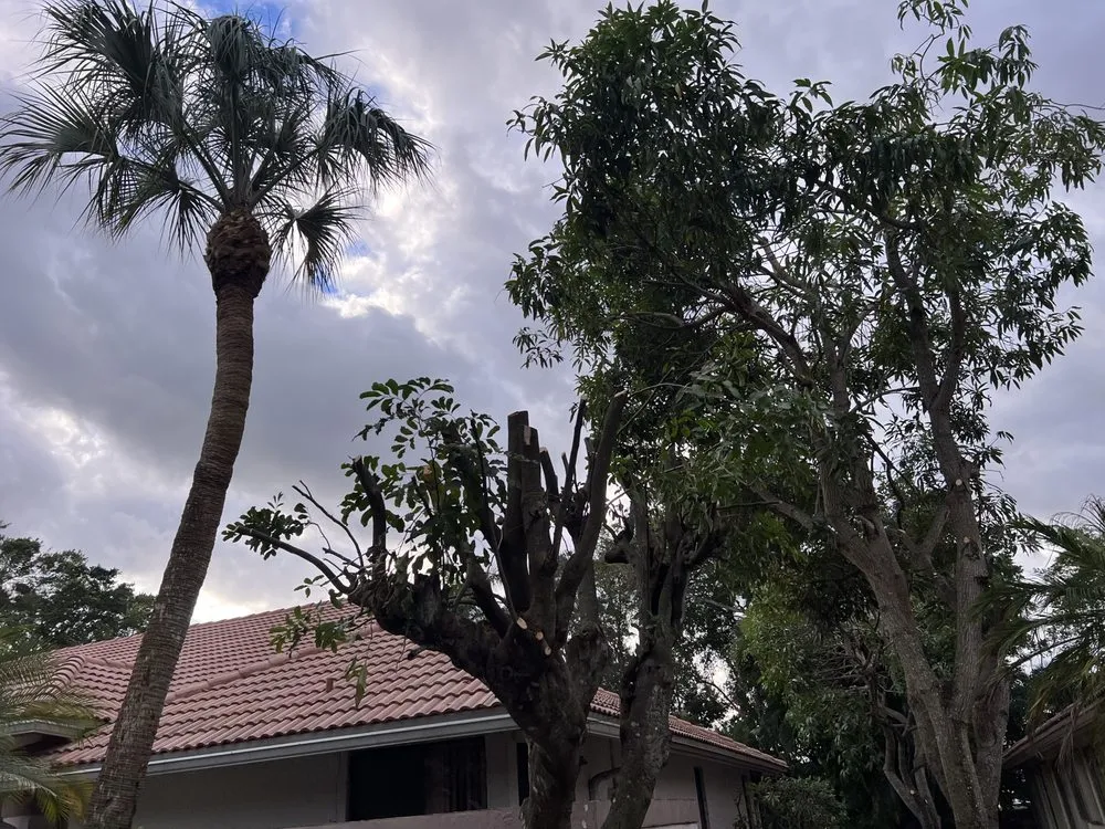 Affordable garden landscaping in Boca Raton, FL - Fritz Landscaping