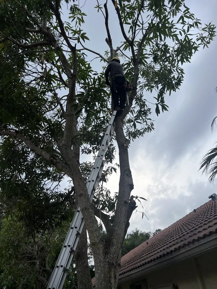 Affordable yard maintenance with custom design across Boca Raton, FL - Fritz Landscaping