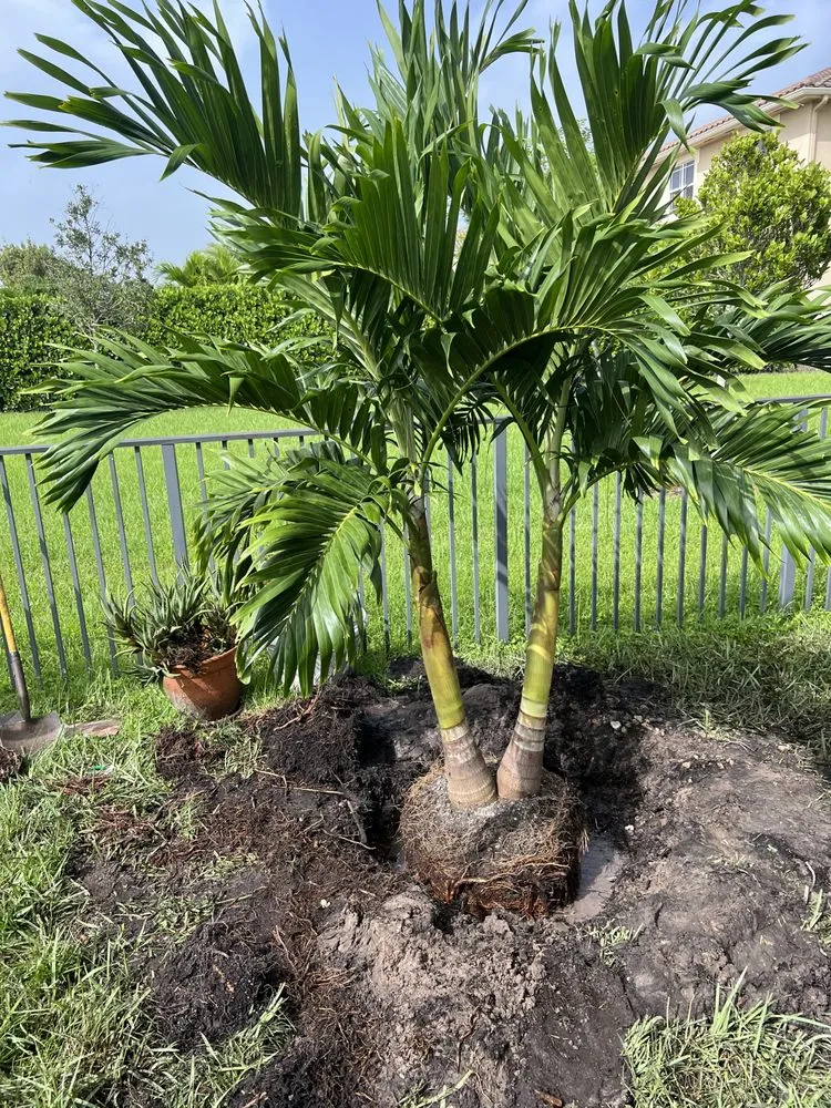 Custom lawn care service experts serving Boca Raton, FL - Fritz Landscaping