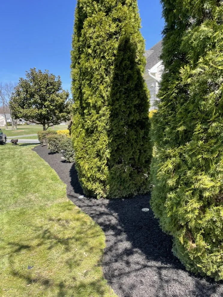 Top-rated outdoor landscaping with custom design across Aberdeen, MD - Fritzges Landscaping