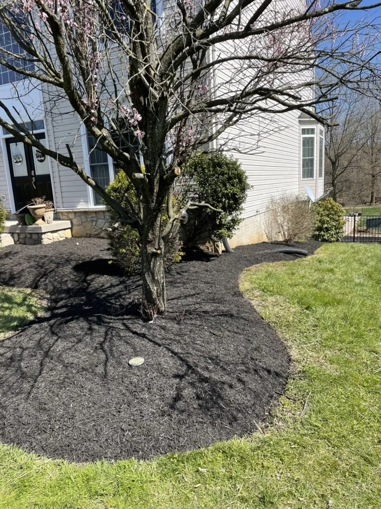 Trusted yard cleanup service experts serving Aberdeen, MD - Fritzges Landscaping