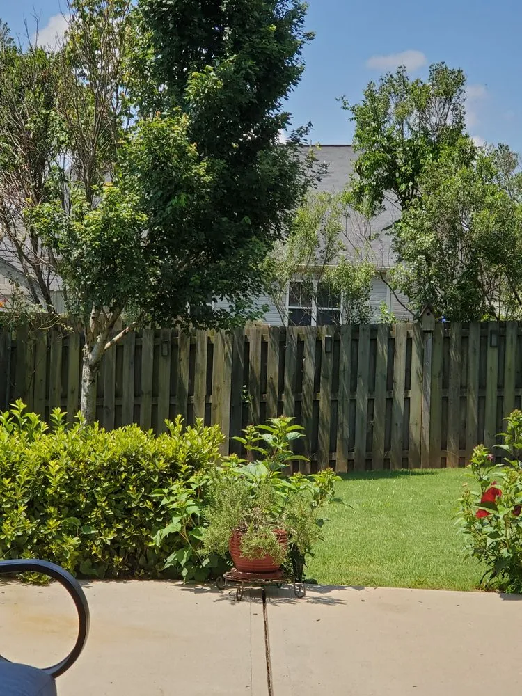 Professional yard maintenance experts serving Dublin, CA - Fritz's Landscape Company