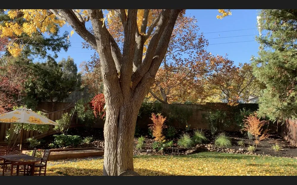 Trusted residential landscaping for residential properties in Dublin, CA by Fritz's Landscape Company