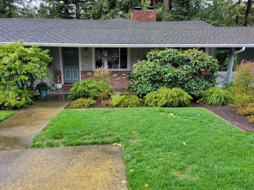 Custom lawn care service for beautiful yards across Dublin, CA - Fritz's Landscape Company