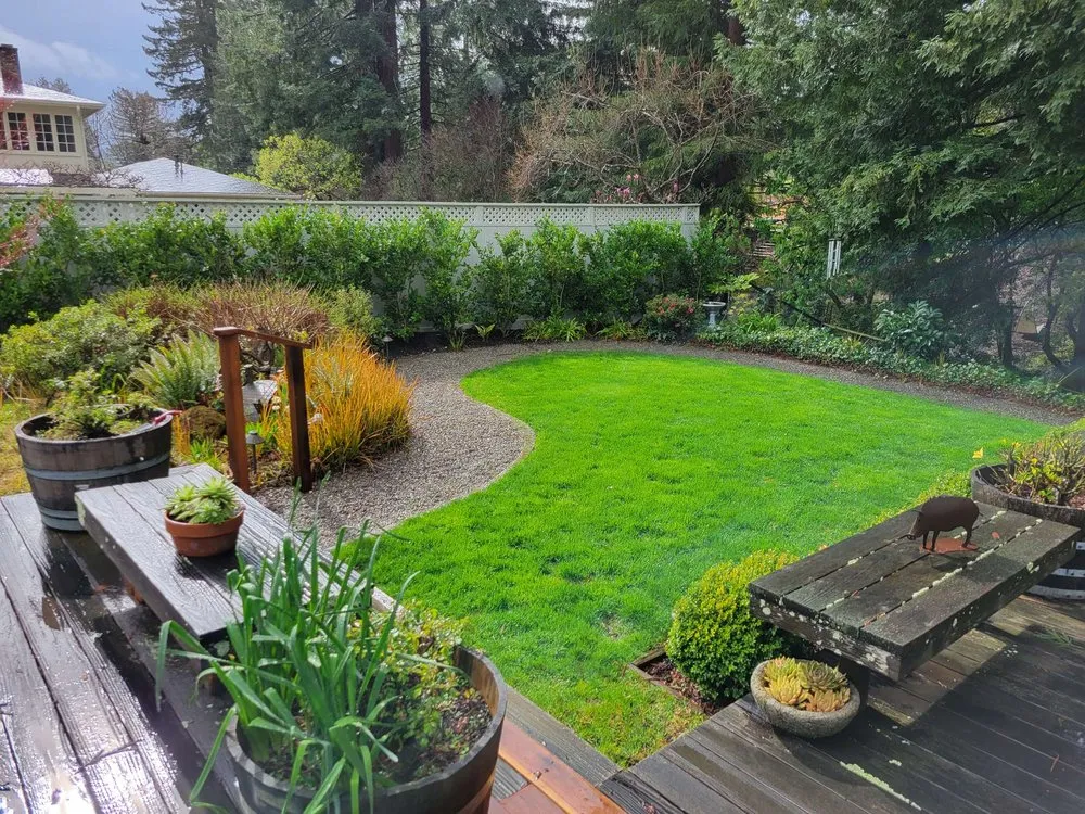 Expert landscape installation for year-round maintenance in Dublin, CA by Fritz's Landscape Company