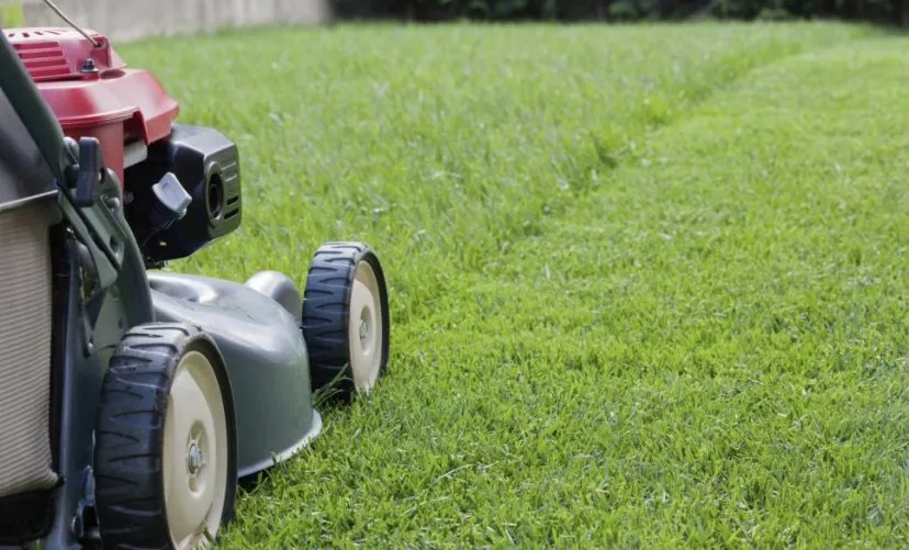 Affordable lawn mowing service for beautiful yards in Antioch, IL by Fritz’s Lawn Mowing Service