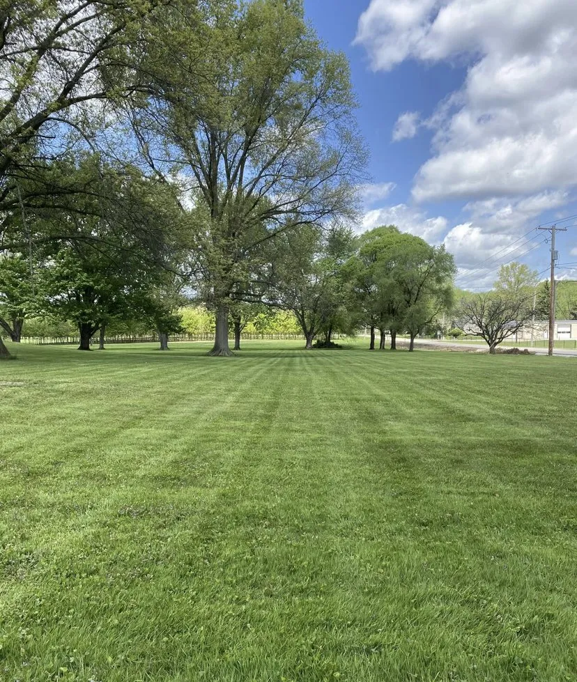 Affordable yard cleanup service in Antioch, IL - Fritz’s Lawn Mowing Service
