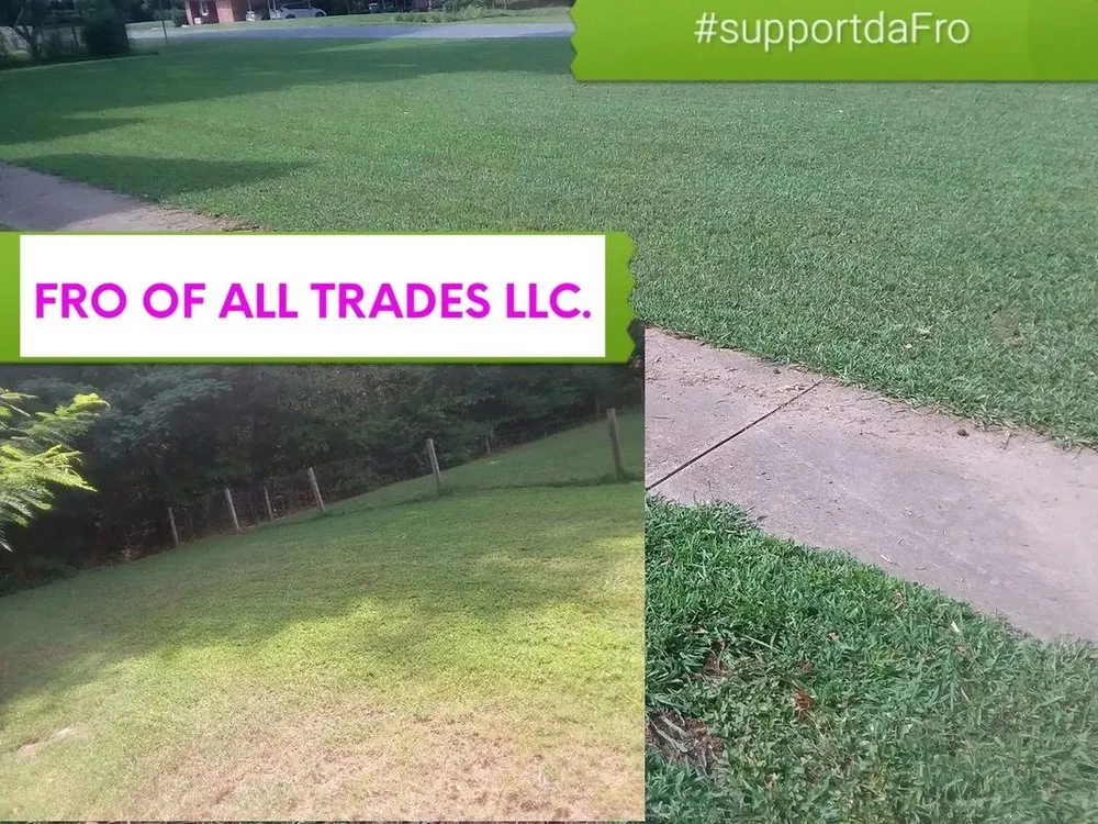 Top-rated yard cleanup service near you across Charlotte, NC - Fro Of All Trades