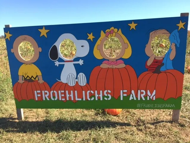 Professional landscape design in Furlong, PA - Froehlich's Farm & Garden Center