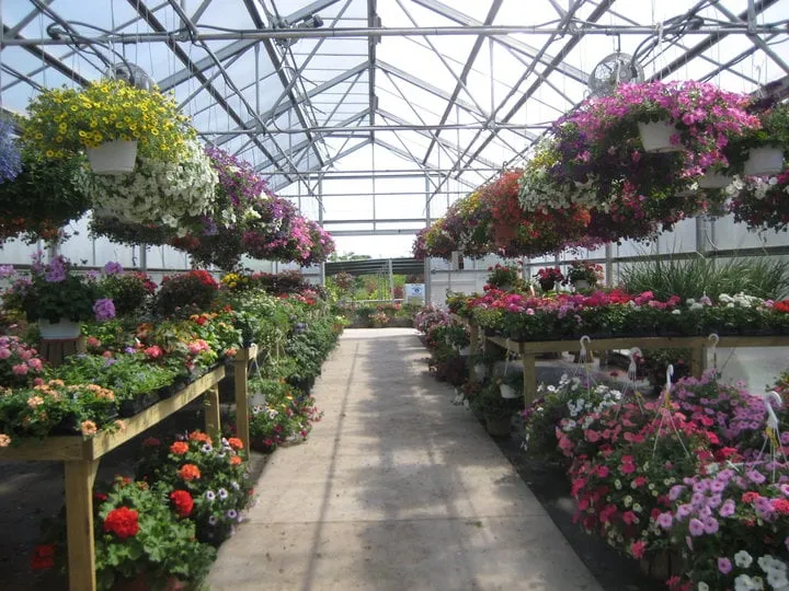 Top-rated garden landscaping experts serving Furlong, PA - Froehlich's Farm & Garden Center