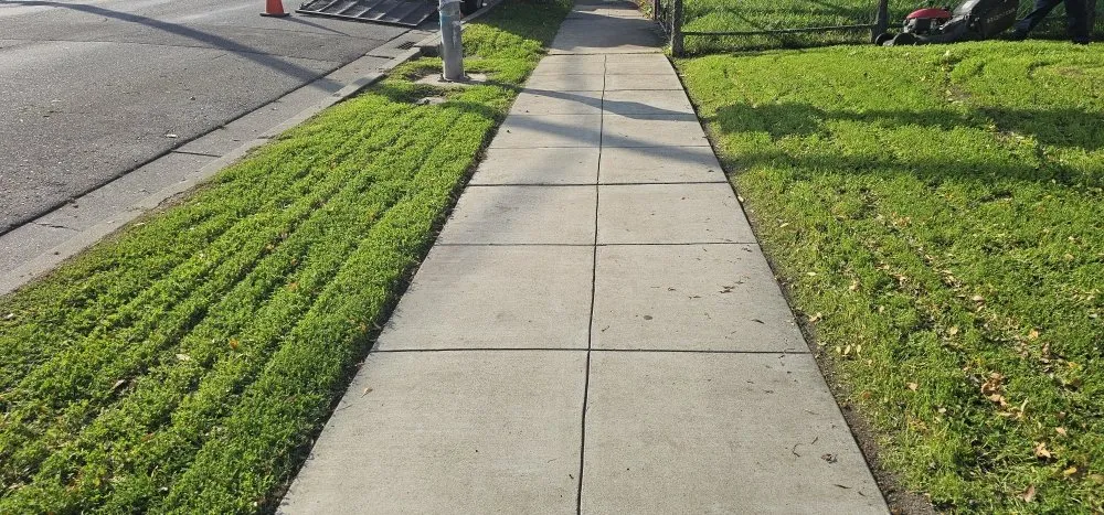 Affordable yard cleanup service for year-round maintenance across Stockton, CA - Frog Bros