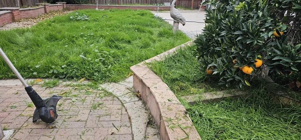 Affordable yard maintenance for beautiful yards across Stockton, CA - Frog Bros