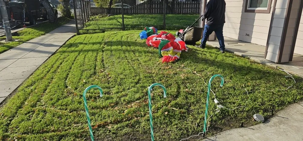 Affordable garden landscaping for residential properties across Stockton, CA - Frog Bros