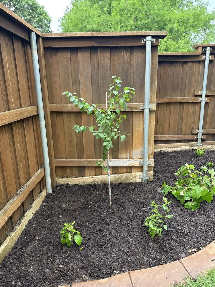 Affordable landscape design in Heath, TX - FROG PROPERTIES