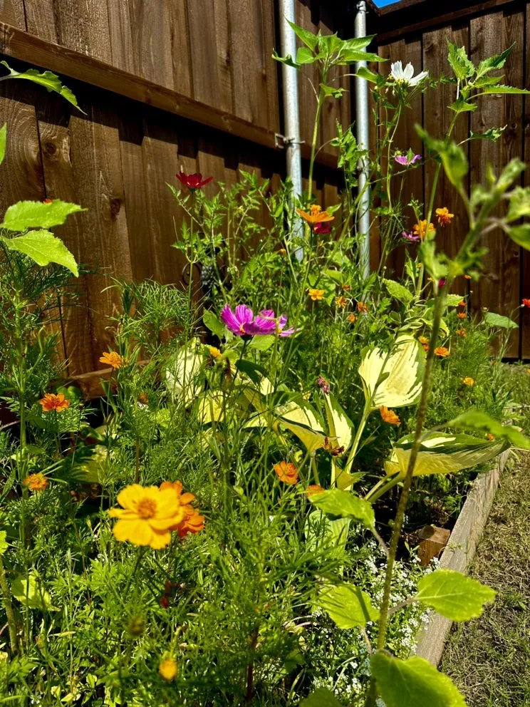 Custom lawn mowing service for year-round maintenance in Heath, TX by FROG PROPERTIES