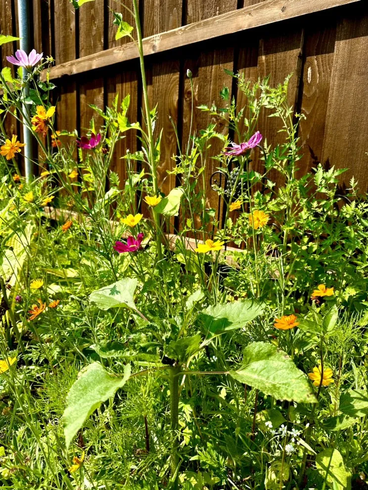 Affordable yard cleanup service with custom design across Heath, TX - FROG PROPERTIES