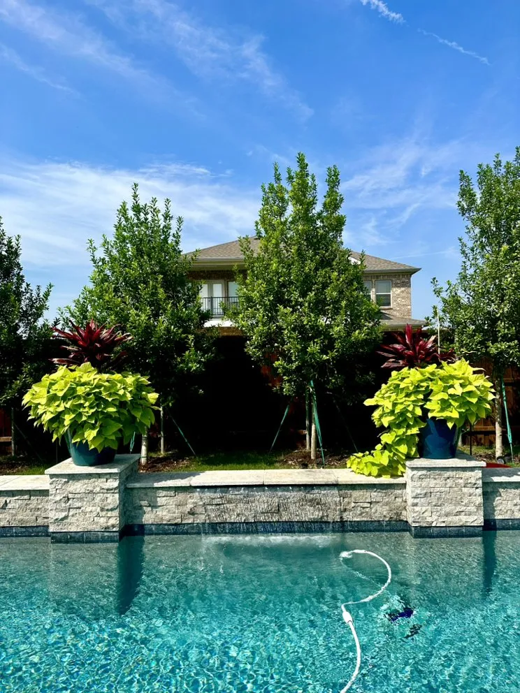 Trusted yard maintenance in Heath, TX by FROG PROPERTIES