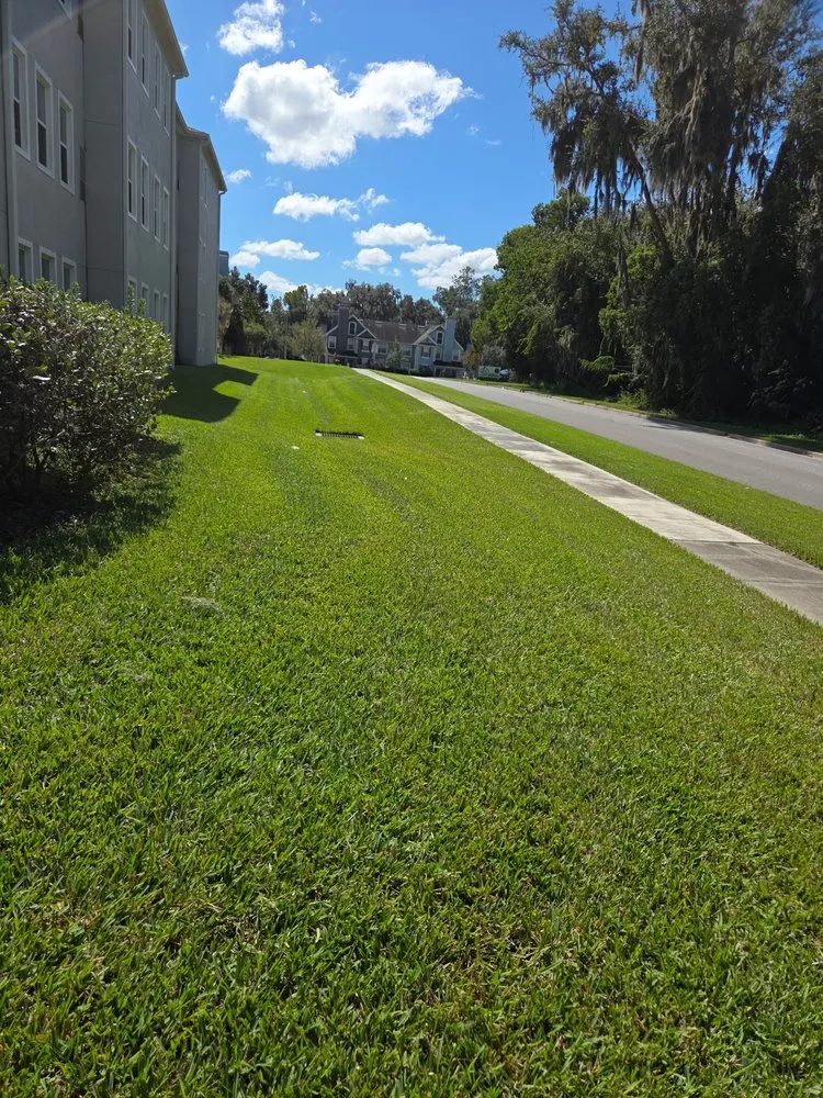 Local landscape design in Ocala, FL - Frog Town Lawn Care and Handyman Services