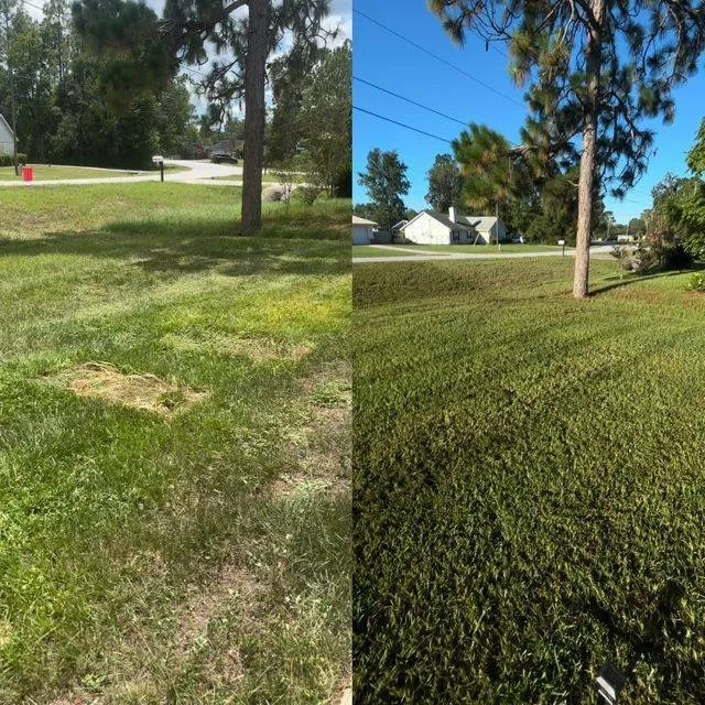 Custom landscape installation near you in Ocala, FL by Frog Town Lawn Care and Handyman Services