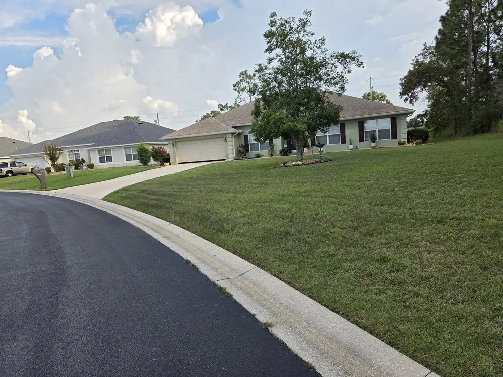 Reliable yard cleanup service for homes in Ocala, FL by Frog Town Lawn Care and Handyman Services