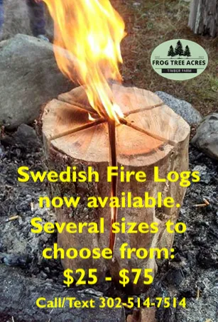 Local lawn care service near you across Clayton, DE - Frog Tree Acres