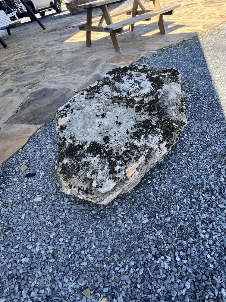 Professional landscape design experts serving Pike Road, AL - Froggy Bottom Materials