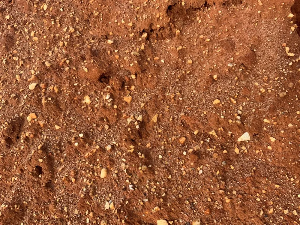 Expert yard cleanup service in Pike Road, AL - Froggy Bottom Materials