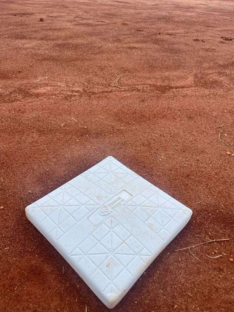 Top-rated lawn mowing service in Pike Road, AL by Froggy Bottom Materials