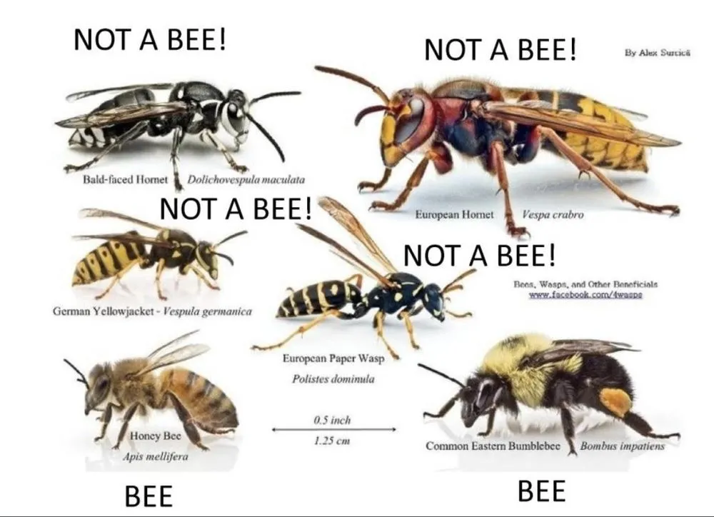 Affordable lawn mowing service for beautiful yards in Grand Rapids, MI by FroGreens Outdoor Services & Pest Control