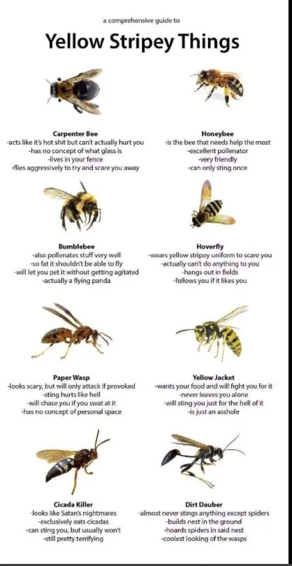 Professional yard cleanup service in Grand Rapids, MI - FroGreens Outdoor Services & Pest Control