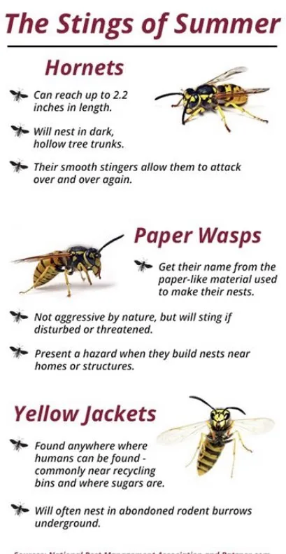 Reliable lawn care service for outdoor upgrades in Grand Rapids, MI by FroGreens Outdoor Services & Pest Control