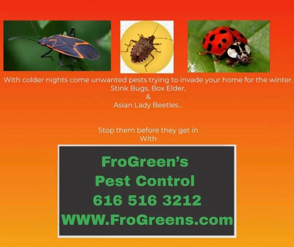 Reliable yard cleanup service for year-round maintenance in Grand Rapids, MI by FroGreens Outdoor Services & Pest Control