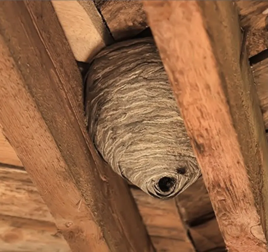 Custom residential landscaping for outdoor upgrades in Grand Rapids, MI by FroGreens Outdoor Services & Pest Control